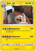 Bert GX