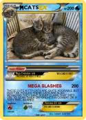 CATS