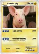 thunder pig