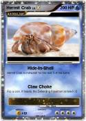 Hermit Crab