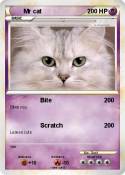 Mr cat