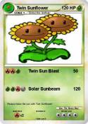 Twin Sunflower