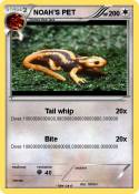 NOAH'S PET