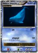baleine blanche