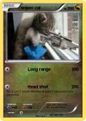 sniper cat