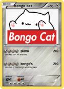 bongo cat