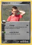 pigmax ex