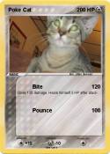 Poke Cat