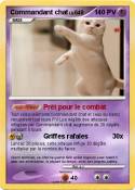 Commandant chat