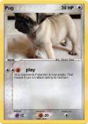 Pug