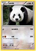 panda