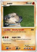 puppy
