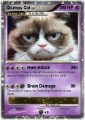 Grumpy Cat