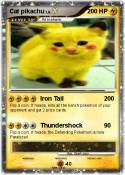 Cat pikachu
