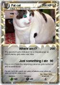 Fat cat