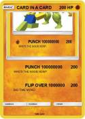 CARD IN A CARD