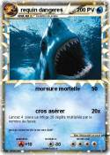 requin dangeres