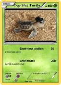 Top Hat Turtle