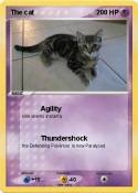 The cat