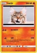 cat EX