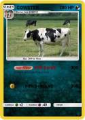 COWSTER
