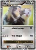 chat