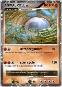 ANIMAL CELL