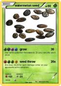 watermelon seed