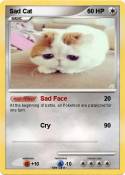 Sad Cat