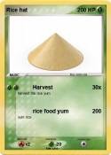Rice hat