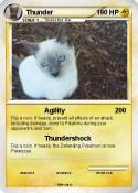 Thunder