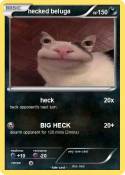 hecked beluga