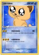 cute kitten
