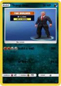Trump Skin
