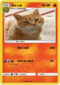 fire cat