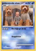 goldendoodle