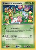 Shaymin et ses