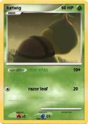 turtwig