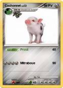Cochonnet