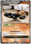 Cat attack dog