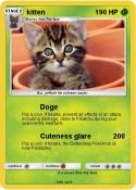 kitten