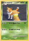 Rex le corgi