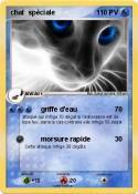 chat spéciale