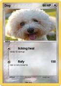 Dog