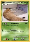 Chat Moderne