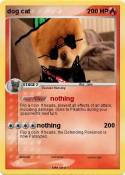 dog cat