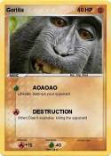 Gorilla