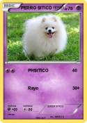 PERRO SITICO