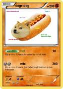doge dog