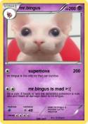 mr.bingus